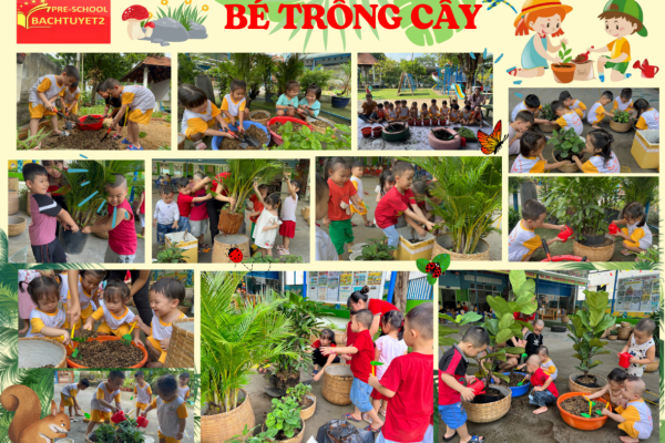 Sân trường